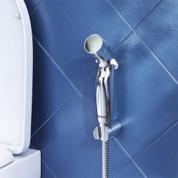 Гигиенический душ Damixa Shower program 760550100 Хром
