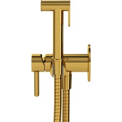Гигиенический душ со смесителем Whitecross Y gold SYSYBI2GL Золото