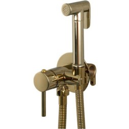 Гигиенический душ со смесителем Frap F7505-3 Золотой
