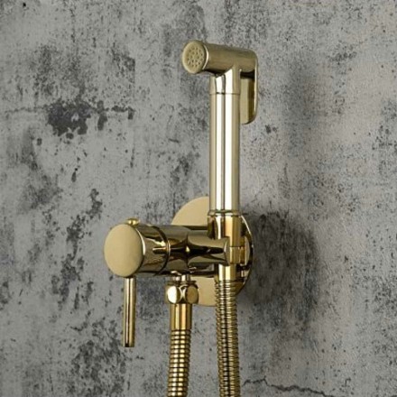 Гигиенический душ со смесителем Frap F7505-3 Золотой